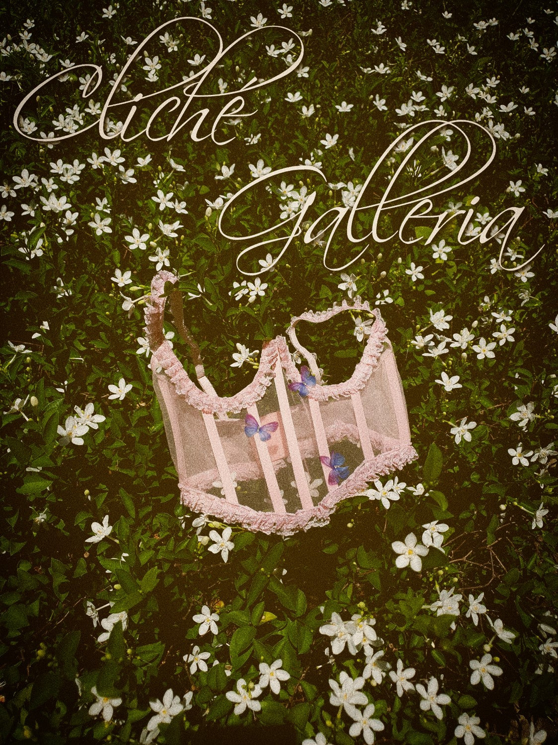 Cynthia - Ballet Slipper Pink Ombre Crystal Butterfly Underbust