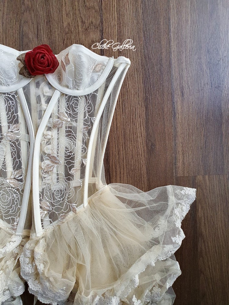 Felicia - Vanilla Rose Glitter Embroidery Bustier Dress