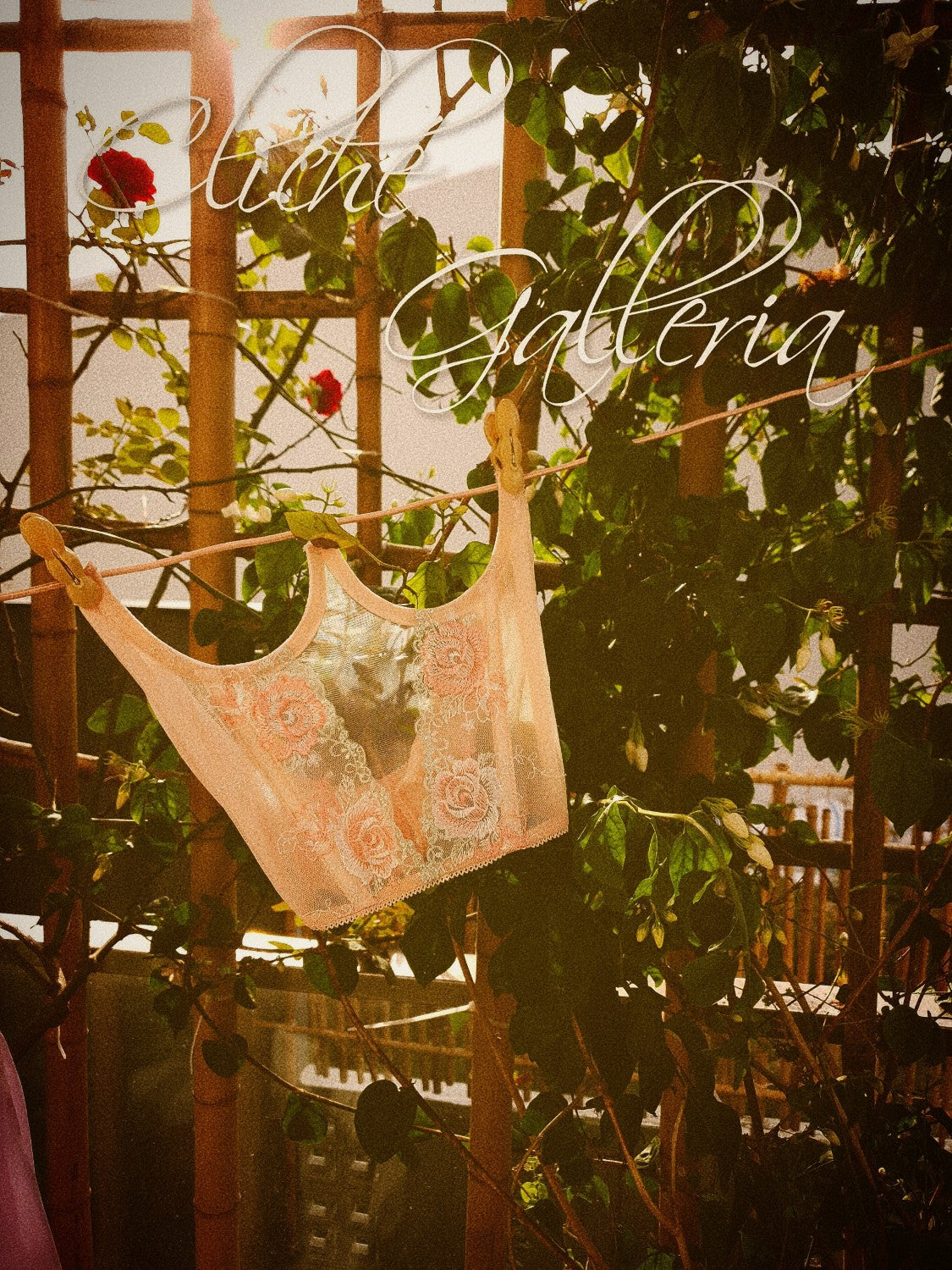 Lisha - Peach Rose Lace Underbust