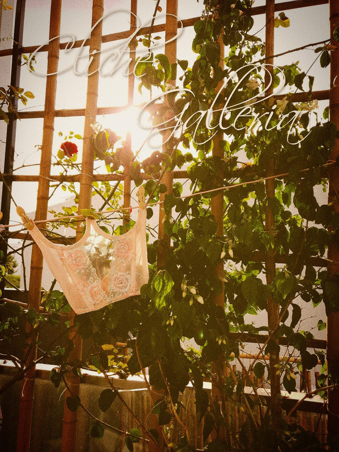 Lisha - Peach Rose Lace Underbust